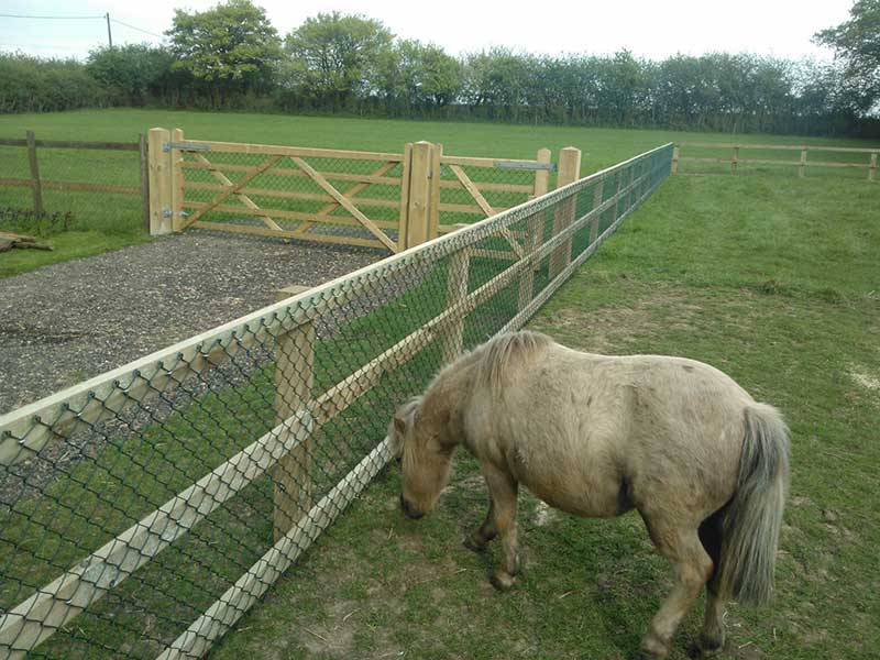 Equine Mesh Fencing by Fowler Fencing