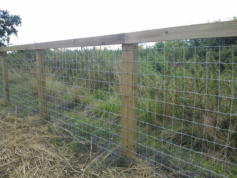 Stallion Fencing by Fowler Fencing
